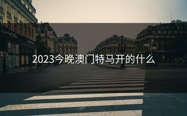 2023今晚澳门特马开的什么