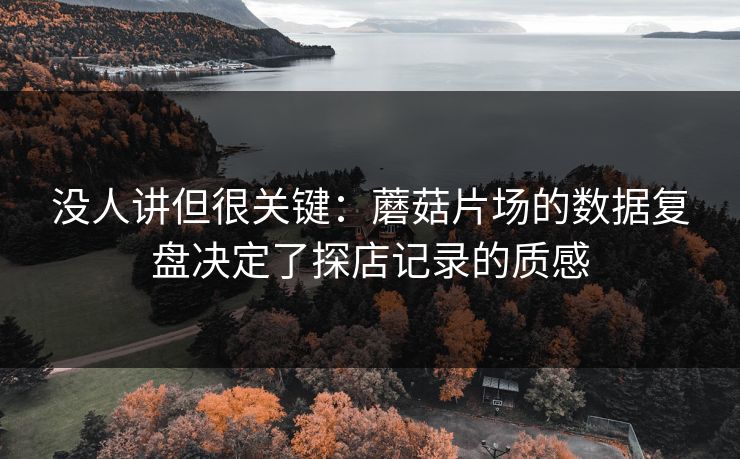 没人讲但很关键:蘑菇片场的数据复盘决定了探店记录的质感