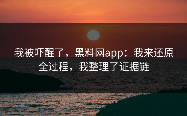 我被吓醒了,黑料网app:我来还原全过程,我整理了证据链