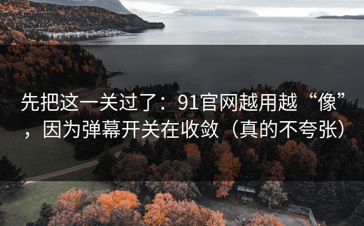 先把这一关过了:91官网越用越“像”,因为弹幕开关在收敛(真的不夸张)
