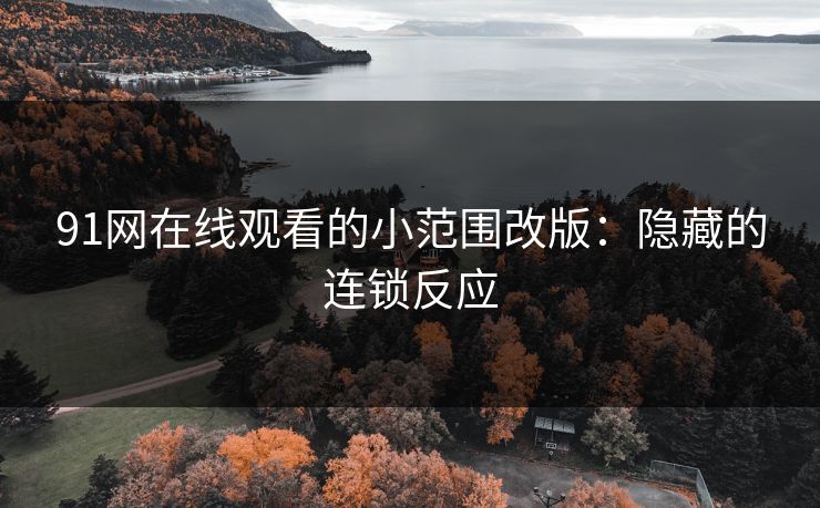 91网在线观看的小范围改版:隐藏的连锁反应 91网在线观看的小范围改版:隐藏的连锁反应